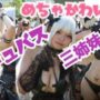 【コミケコスプレ動画C96コスプレ】C96コミケコスプレ動画96(2019)かわいいコスプレ03(小悪魔サキュバス三姉妹)2019年夏コミックマーケット(Comic Market) #cosplay #코스프레 #Coser #漫展