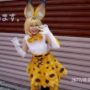 【けものフレンズ】第13回 日本橋ストリートフェスタ2017 コスプレ祭